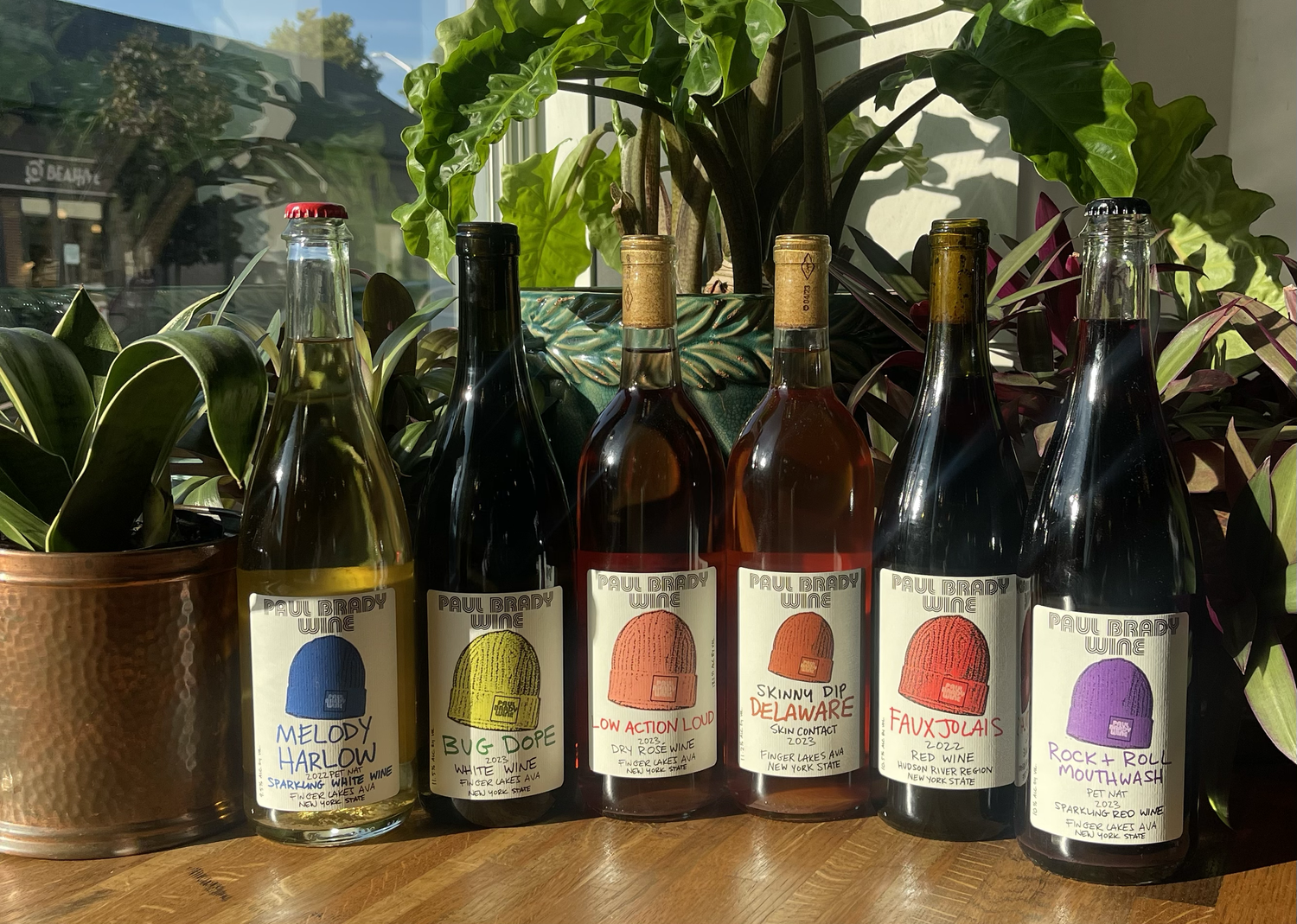 Six Paul Brady Wine bottles near a sunny window